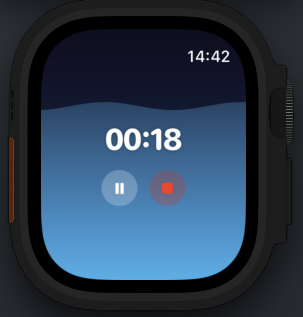 Apple Watch DropTimer Screenshot 4